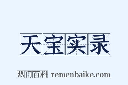 天宝实录是什么意思的图片